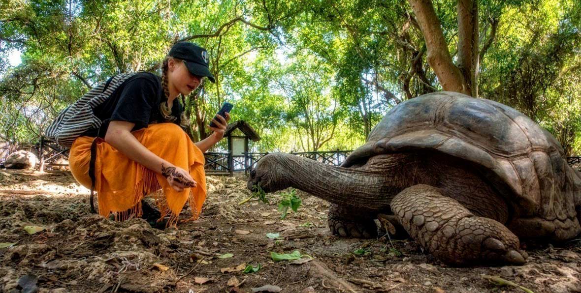 Zanzibar Queen Hotel Turtle - 195.7.4.97