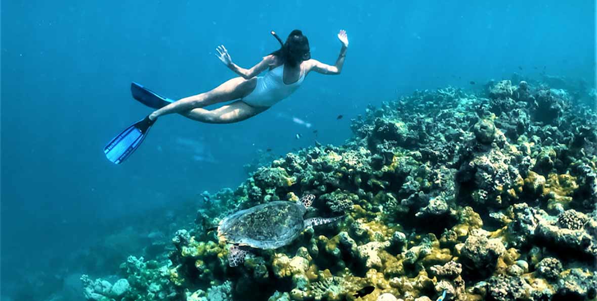 Lux North Male Atoll Resort Villas Maldives Snorkeling - 195.7.4.97