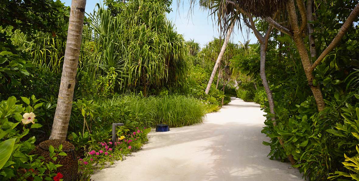 Velaa Private Island Maldives Resort - 195.7.4.97