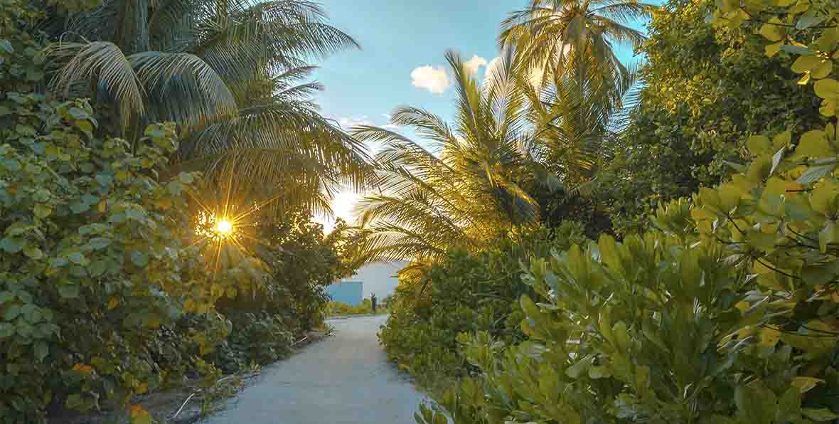 Rahaa Resort Maldives - 195.7.4.97