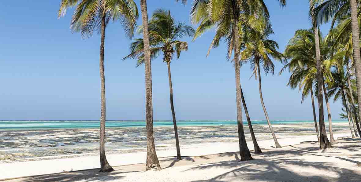 Karafuu Beach Resort Spa - 195.7.4.97