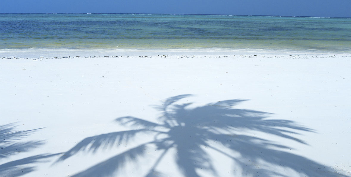 Breeze Beach Club Spa Zanzibar - 195.7.4.97