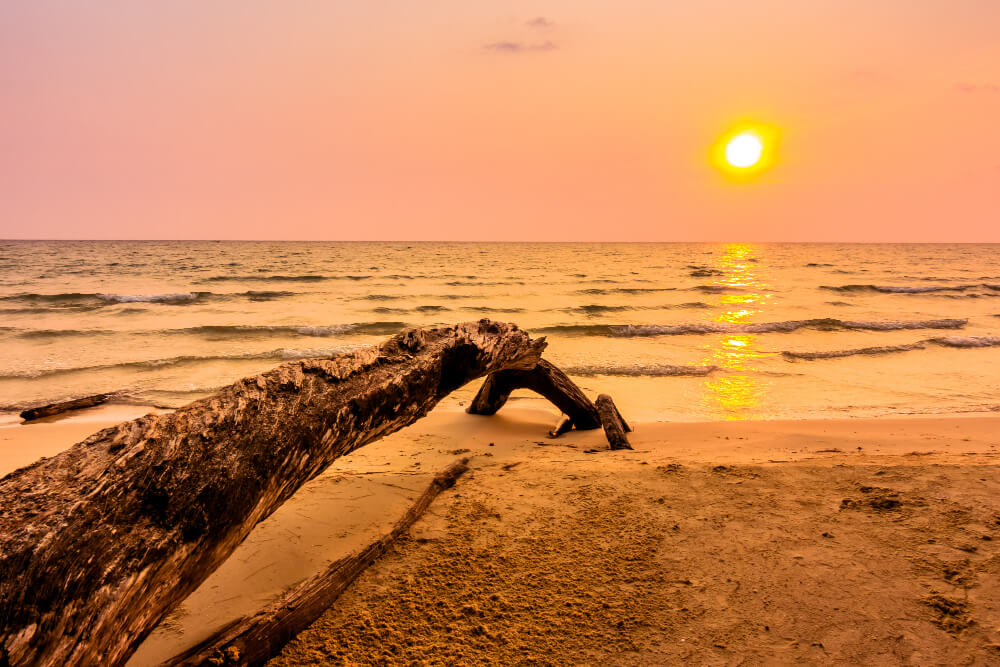 Seychelles sunset view on the beach shore