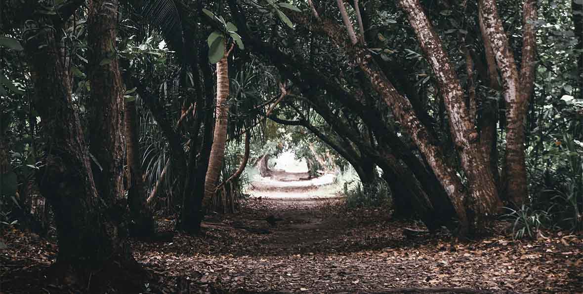 Siyam World Maldives - 195.7.4.97