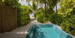 Avani Fares - 195.7.4.97 -