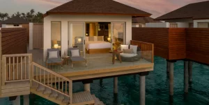 Avani Fares - 195.7.4.97 -