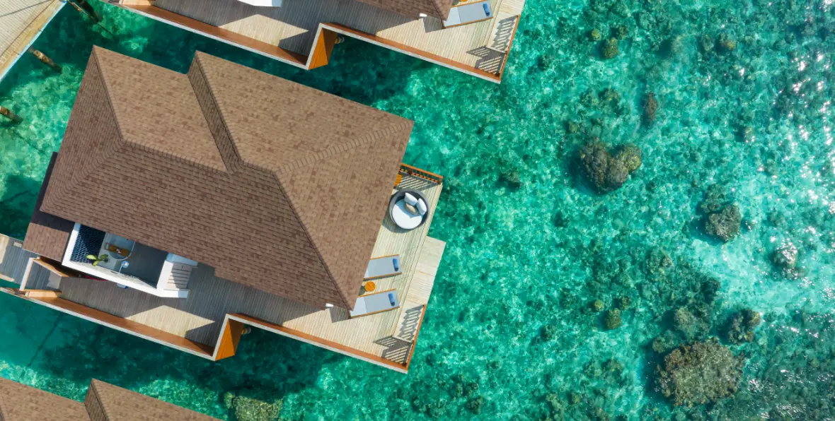 Avani Fares - 195.7.4.97 -