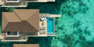 Avani Fares - 195.7.4.97 -