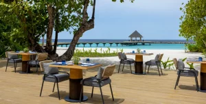 Avani Fares - 195.7.4.97 -