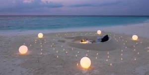 Avani Fares - 195.7.4.97 -