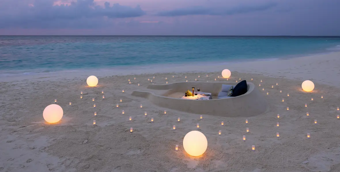 Avani Fares - 195.7.4.97 -