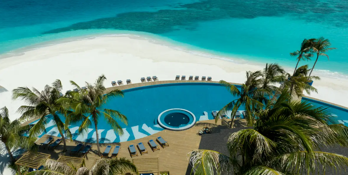 Avani Fares - 195.7.4.97 -