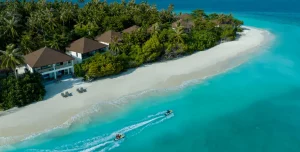 Avani Fares - 195.7.4.97 -