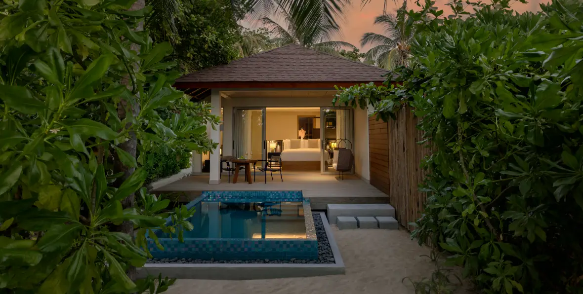 Avani Fares - 195.7.4.97 -