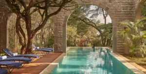 Giraffe Manor - 195.7.4.97 -