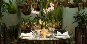 Giraffe Manor - 195.7.4.97 -