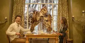 Giraffe Manor - 195.7.4.97 -