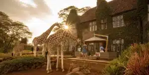 Giraffe Manor - 195.7.4.97 -