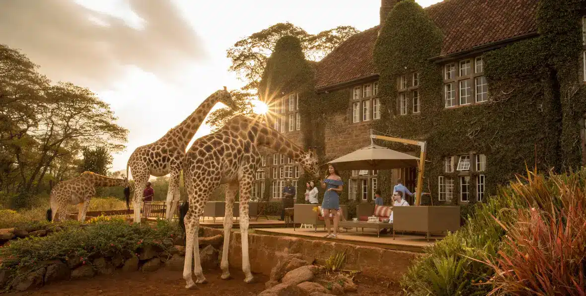 Giraffe Manor - 195.7.4.97 -