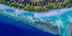 Lily Beach Resort Spa Maldives - 195.7.4.97 - Lily Beach