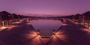 Lily Beach Resort Spa Maldives - 195.7.4.97 - Lily Beach