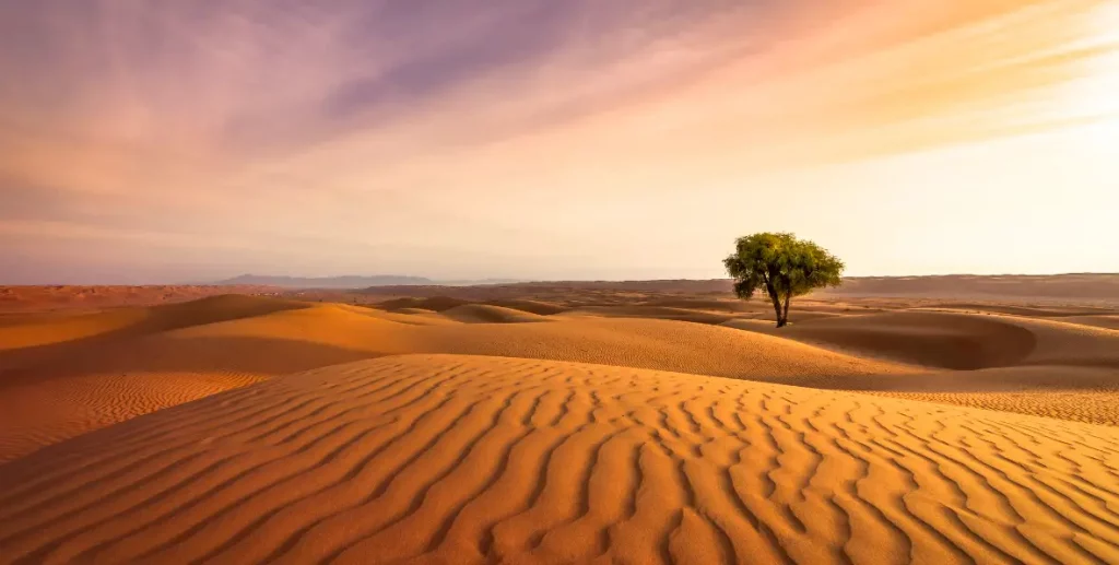 Viaje Oman - 195.7.4.97 -