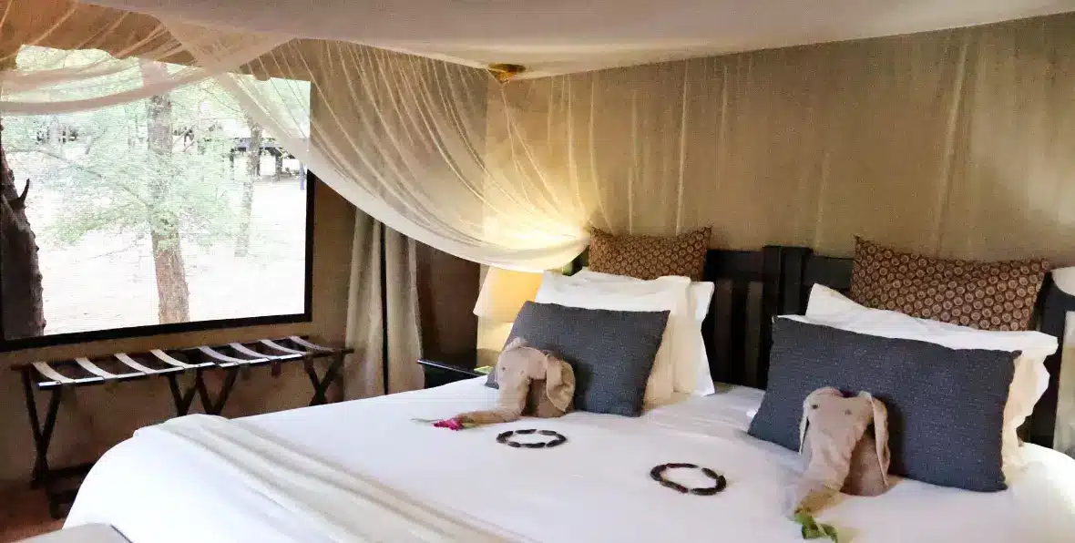 Sudafrica Chisomo Camp - 195.7.4.97 -