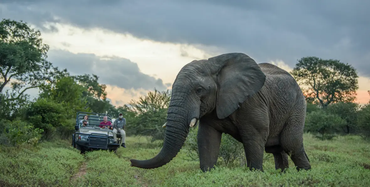 Sudafrica Kapama River Lodge - 195.7.4.97 -