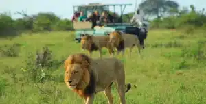 Sudafrica Lukimbi Lodge - 195.7.4.97 -