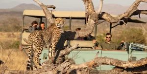 Sudafrica Lukimbi Lodge - 195.7.4.97 -