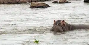 Sudafrica Lukimbi Lodge - 195.7.4.97 -