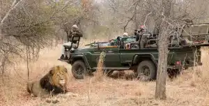 Sudafrica Shiduli Lodge - 195.7.4.97 -