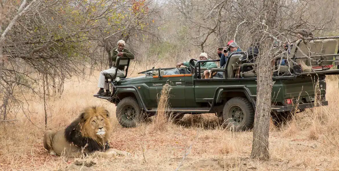 Sudafrica Shiduli Lodge - 195.7.4.97 -