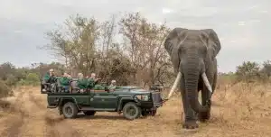 Sudafrica Shiduli Lodge - 195.7.4.97 -