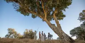 Sudafrica Shiduli Lodge - 195.7.4.97 -