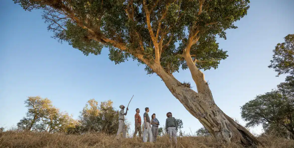 Sudafrica Shiduli Lodge - 195.7.4.97 -