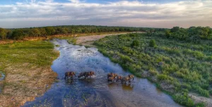 Sudafrica Umkumbe - 195.7.4.97 -