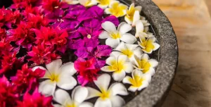 The Residence Zanzibar - 195.7.4.97 -