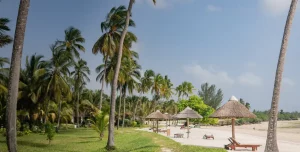 The Residence Zanzibar - 195.7.4.97 -