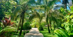 Zuri Zanzibar - 195.7.4.97 -