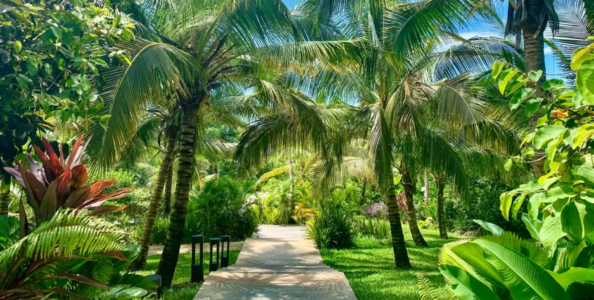 Zuri Zanzibar - 195.7.4.97 -