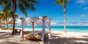 Zuri Zanzibar - 195.7.4.97 -