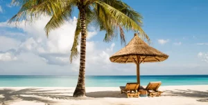 Zuri Zanzibar - 195.7.4.97 -