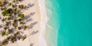 Zuri Zanzibar - 195.7.4.97 -