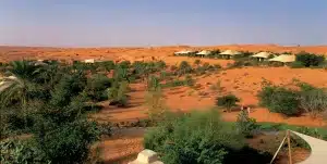 Al Maha Luxury Collection Resort Camp - 195.7.4.97 -