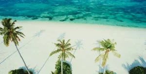 Jawakkara - 195.7.4.97 -