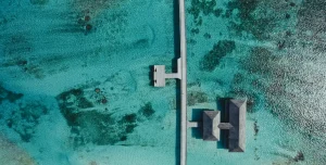 Jawakkara - 195.7.4.97 -