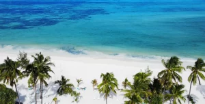 Lu Marijani Zanzibar X - 195.7.4.97 -