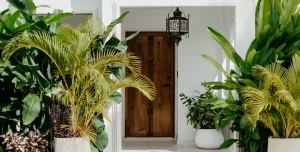 Lu Marijani Zanzibar X - 195.7.4.97 -