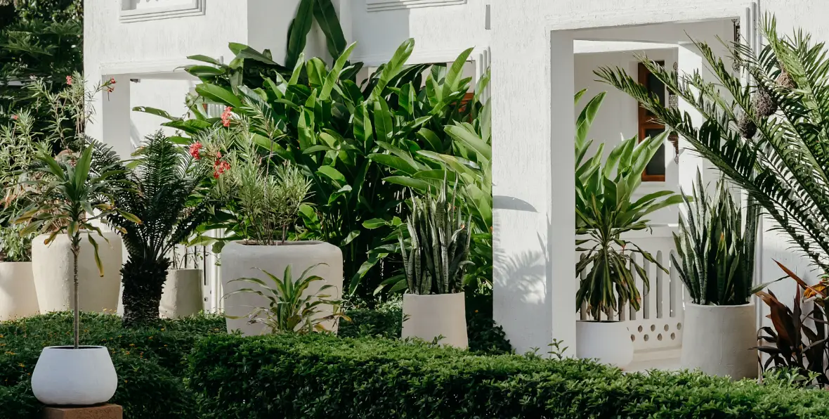 Lu Marijani Zanzibar X - 195.7.4.97 -